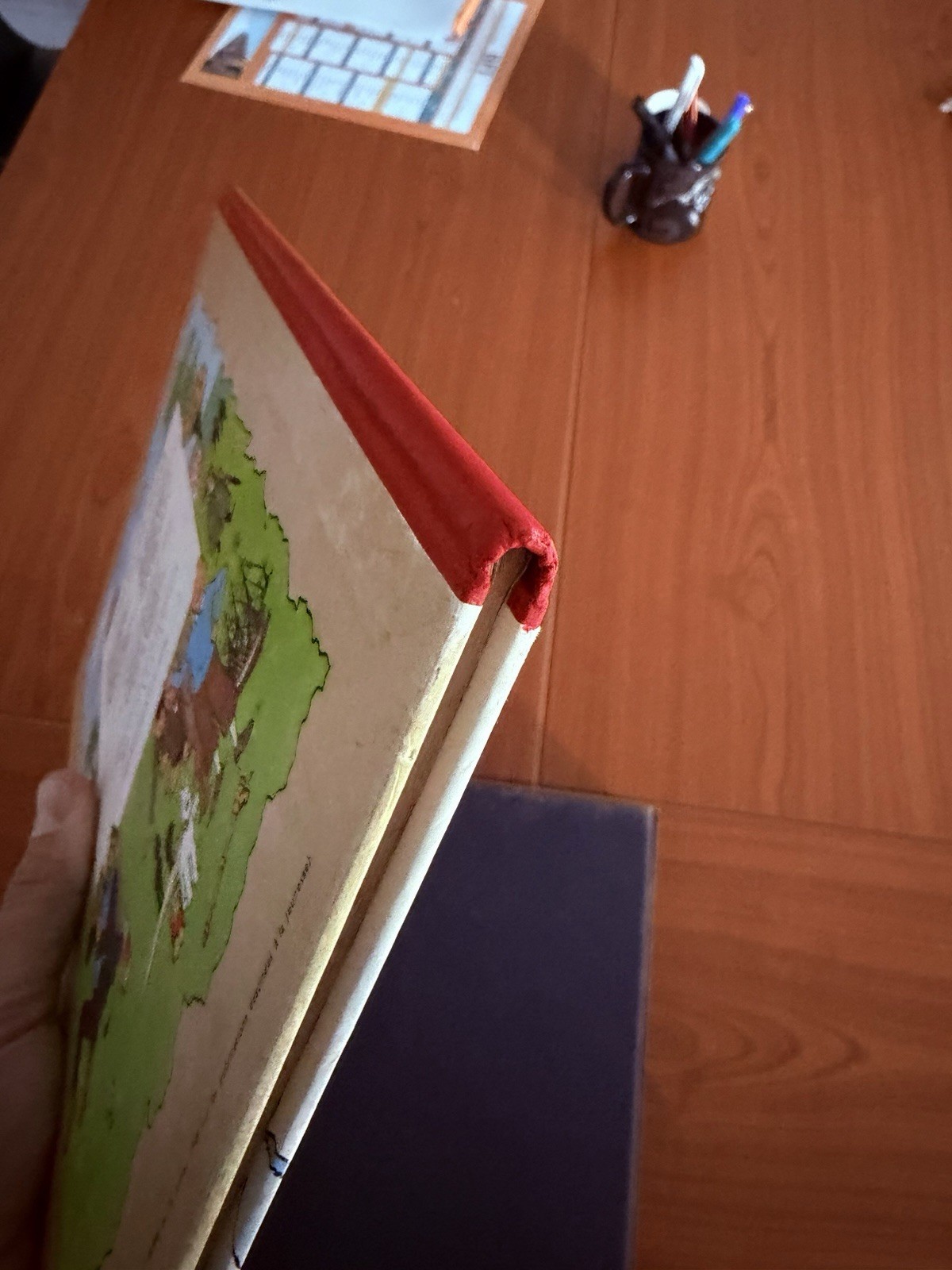 Image 7