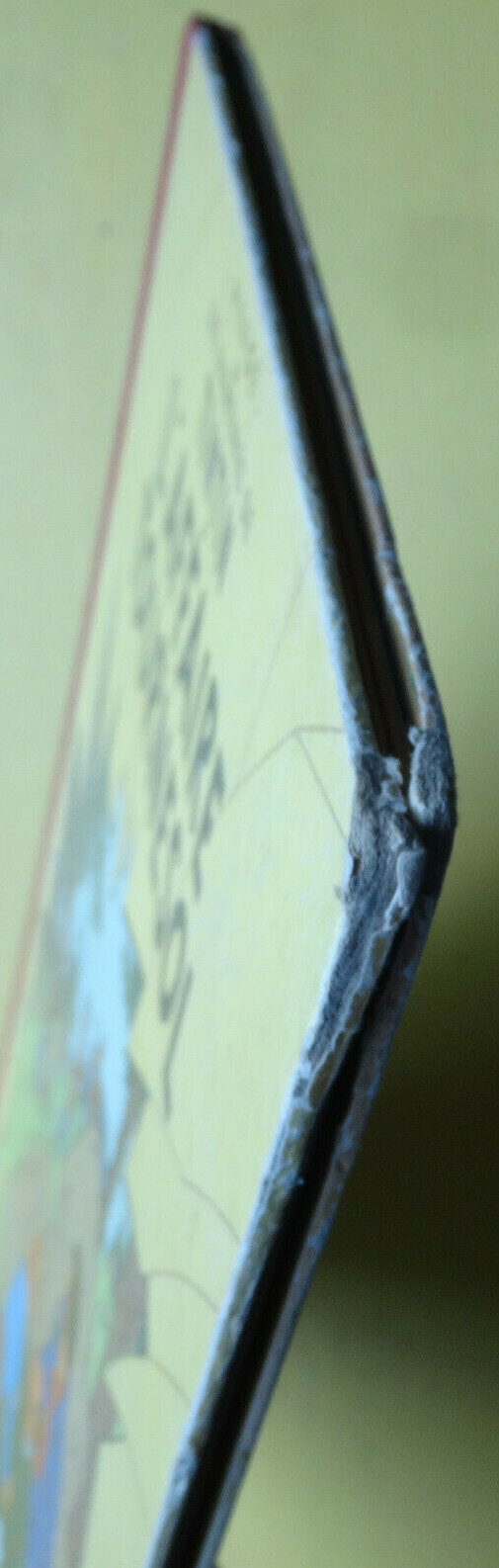 Image 6