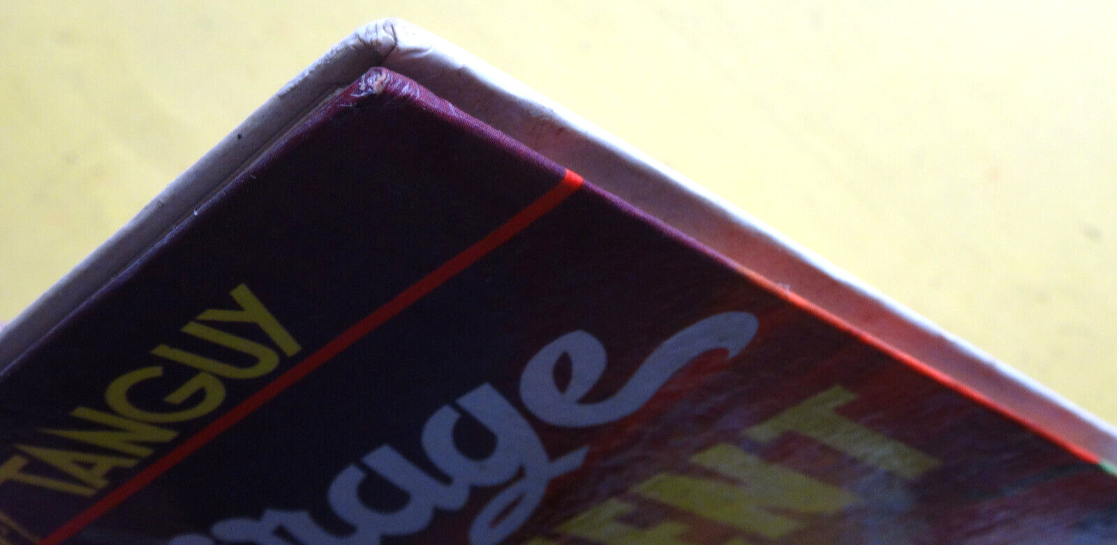 Image 5