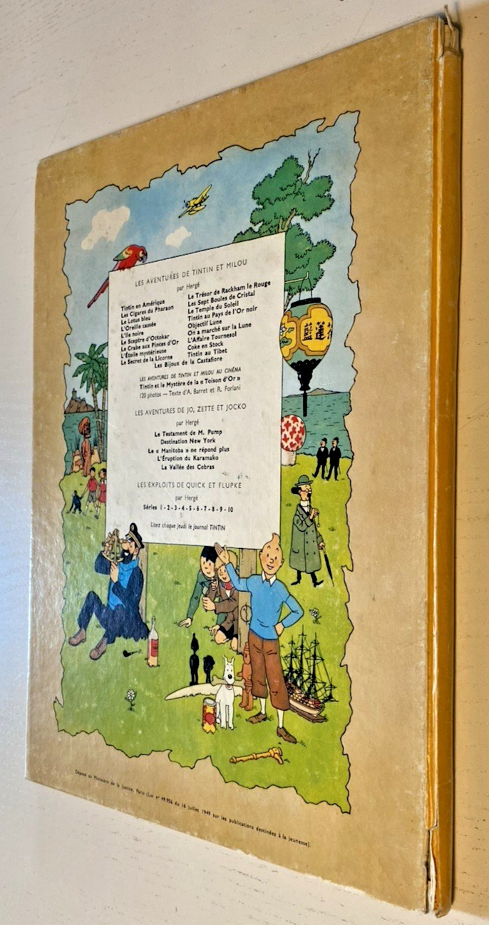 Image 7