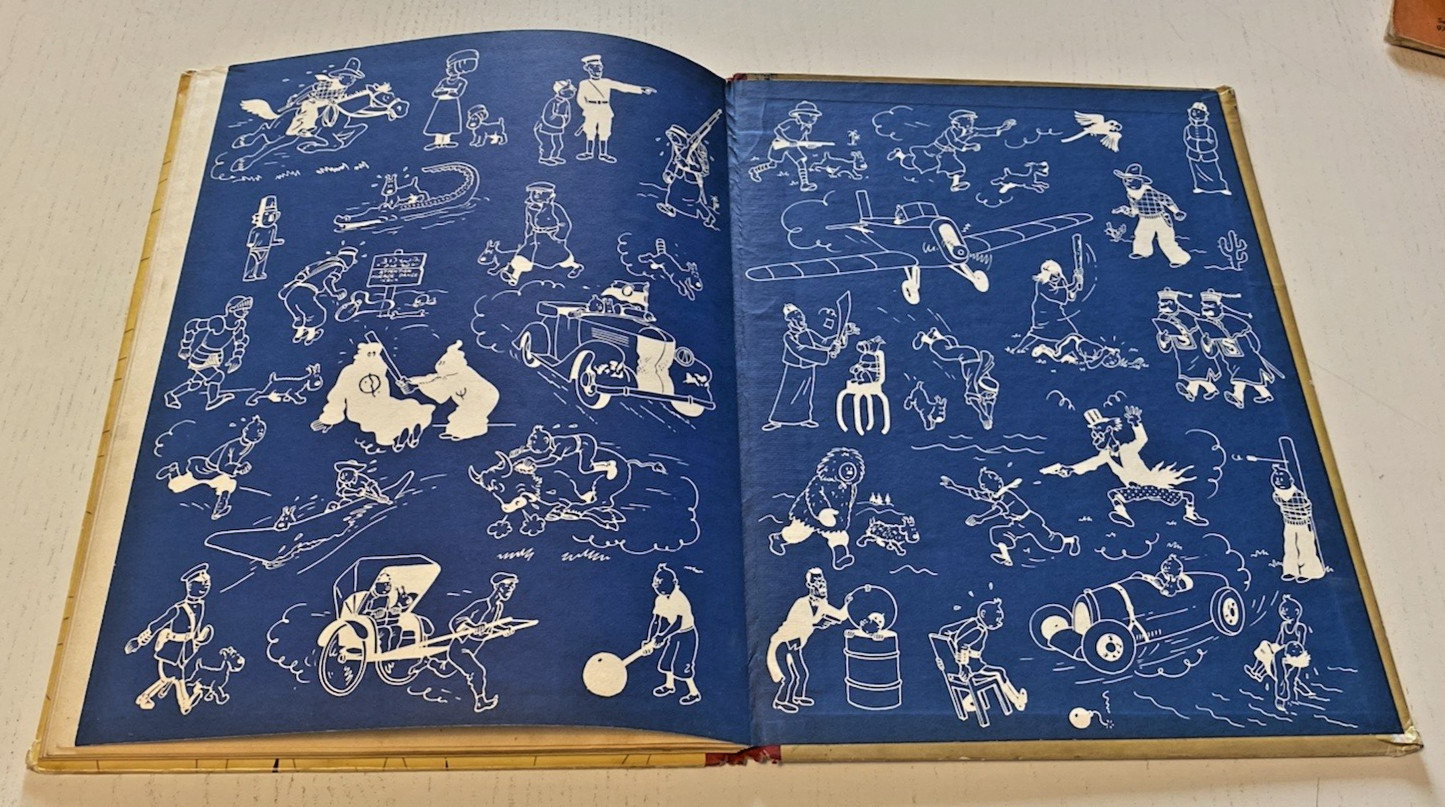 Image 7