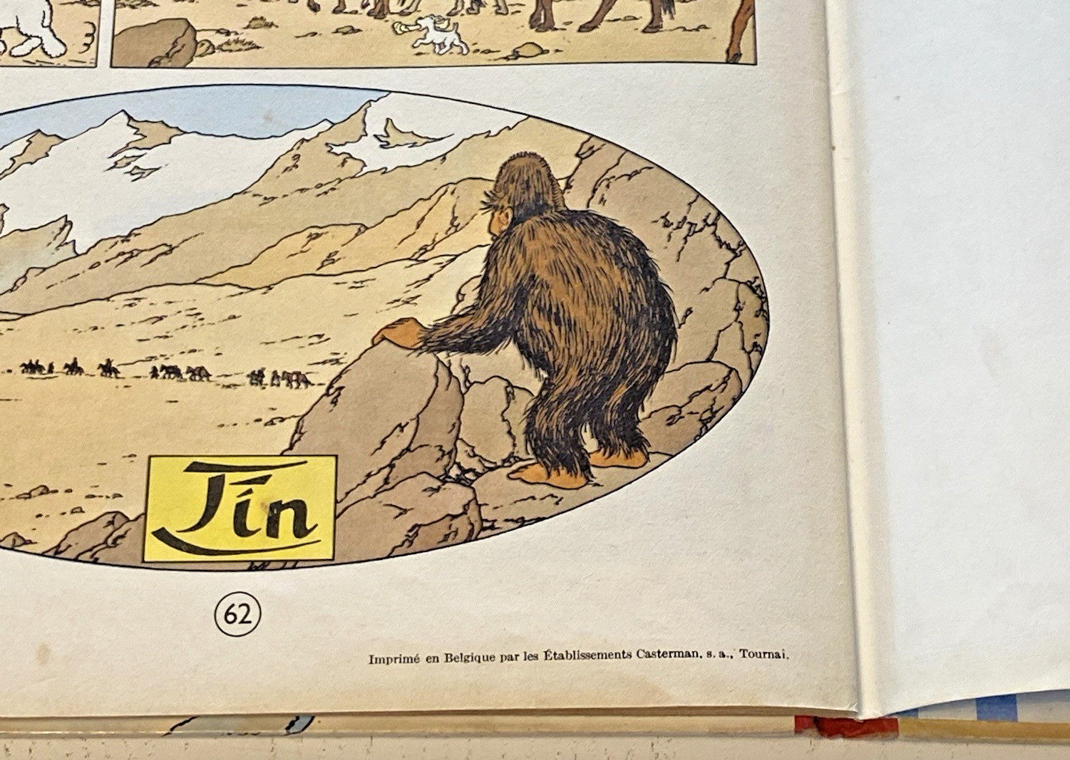 Image 6