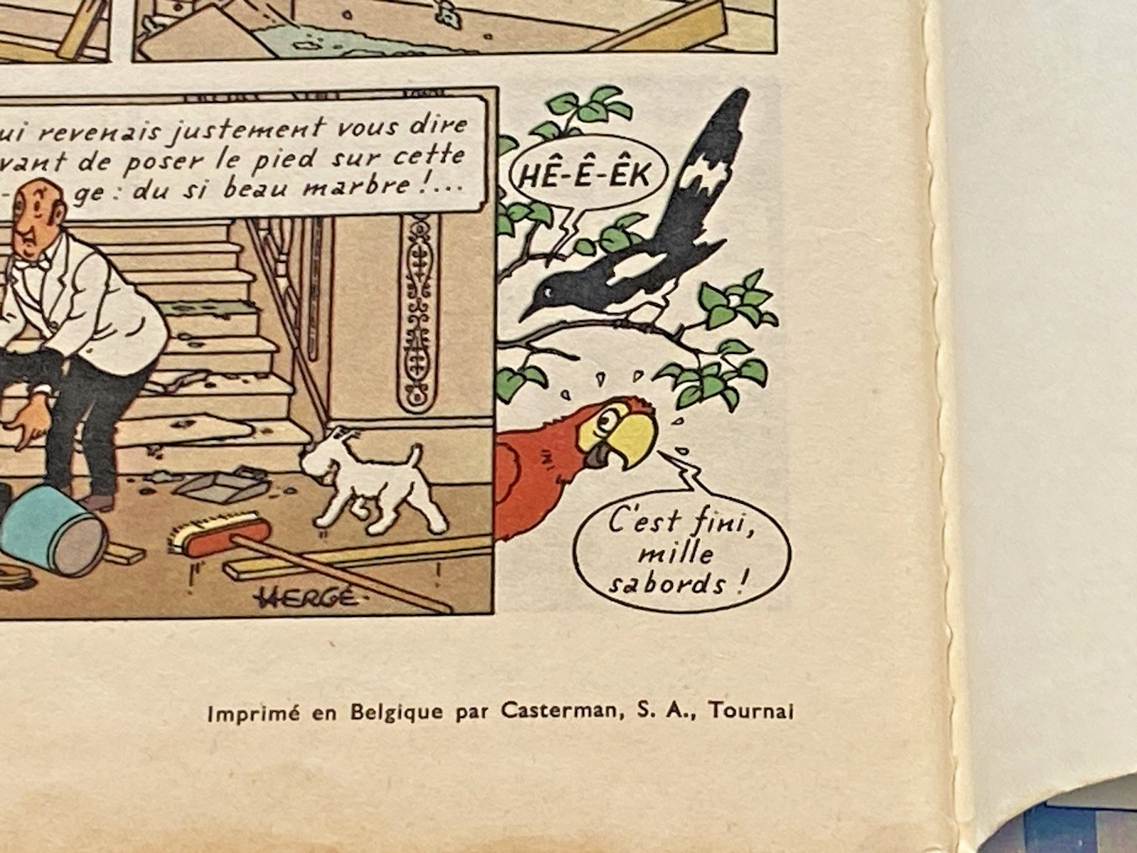 Image 6