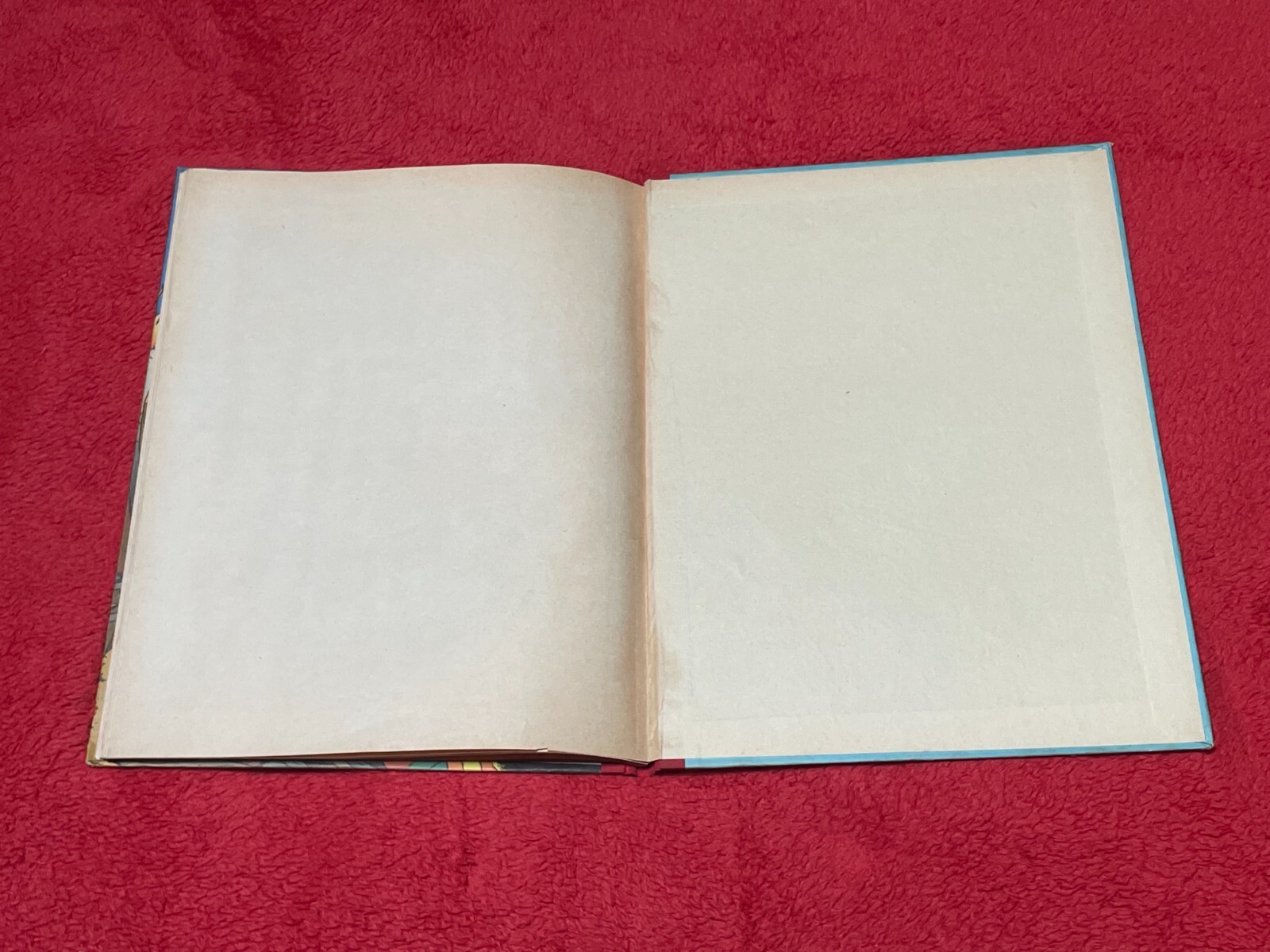 Image 8
