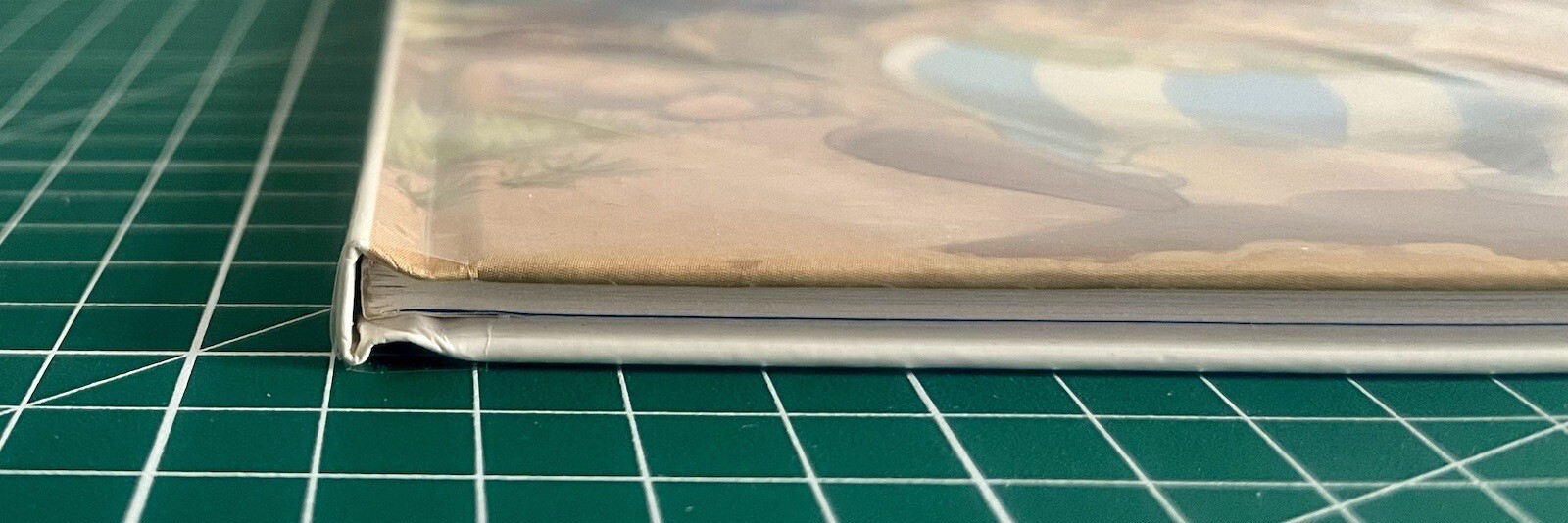 Image 4