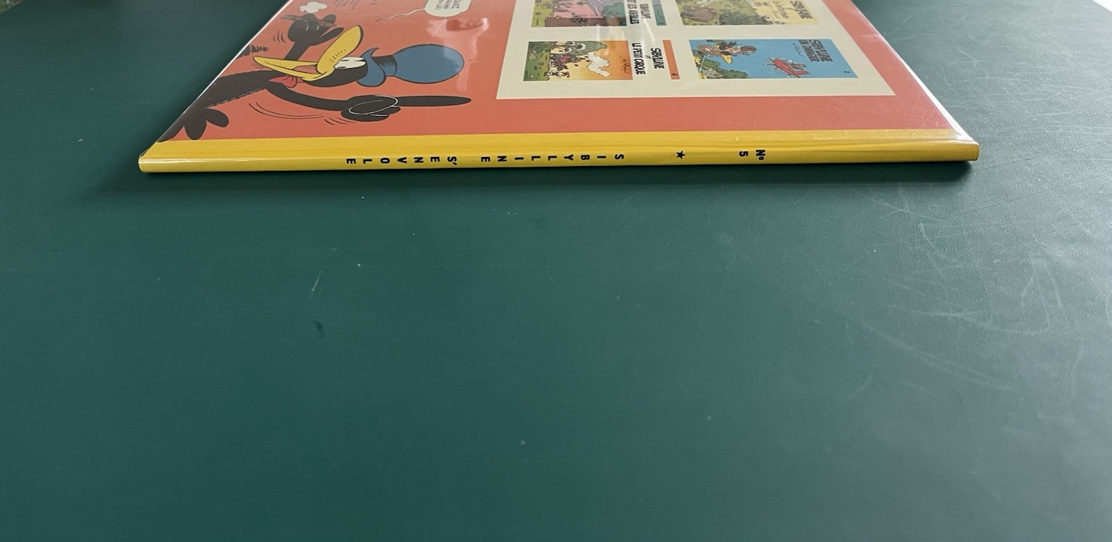 Image 6