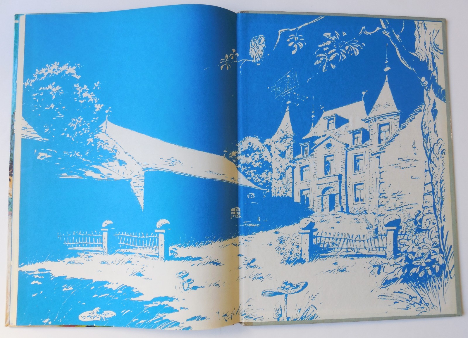 Image 19