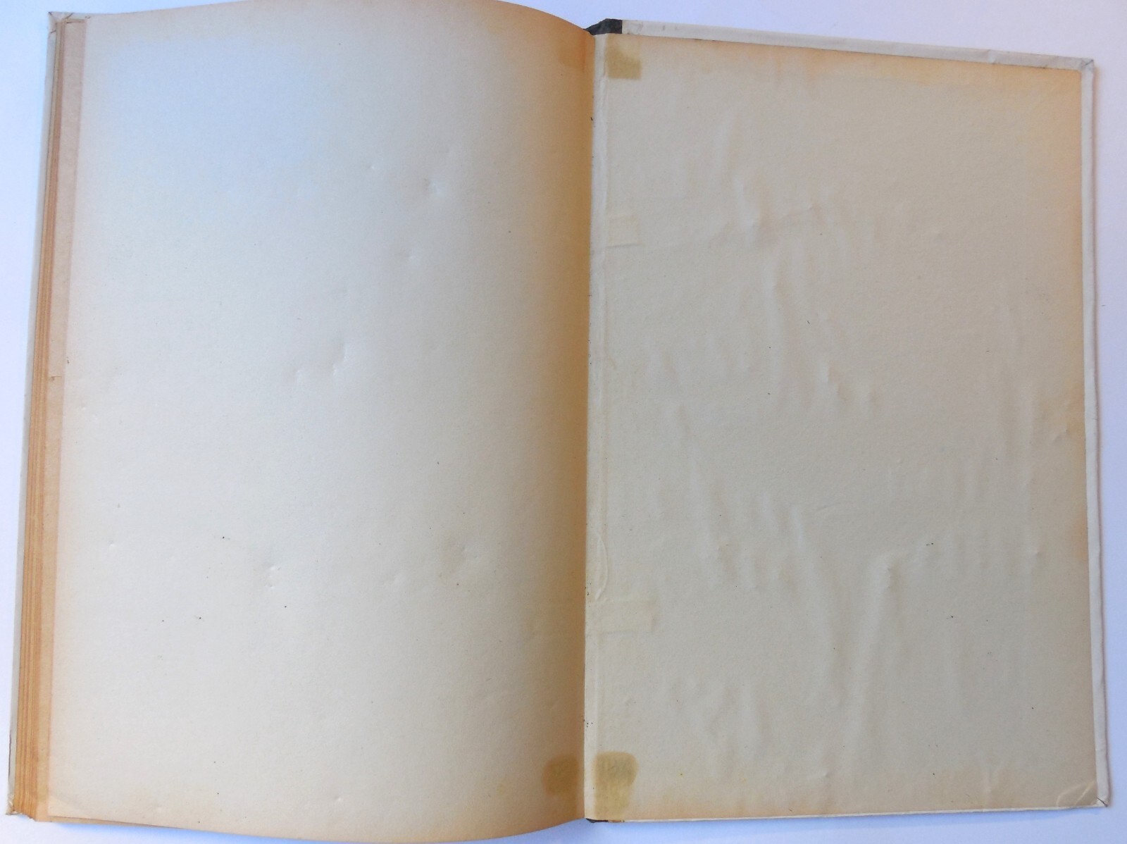 Image 17