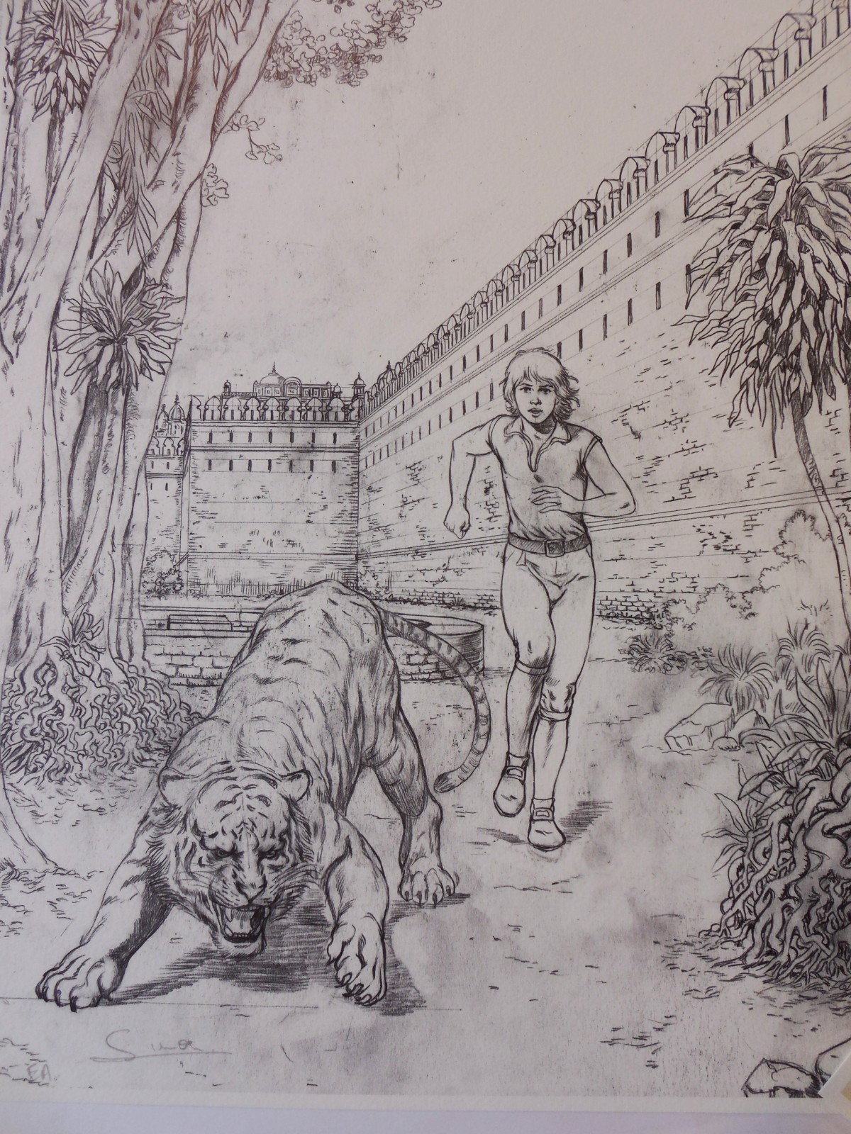 Image 14