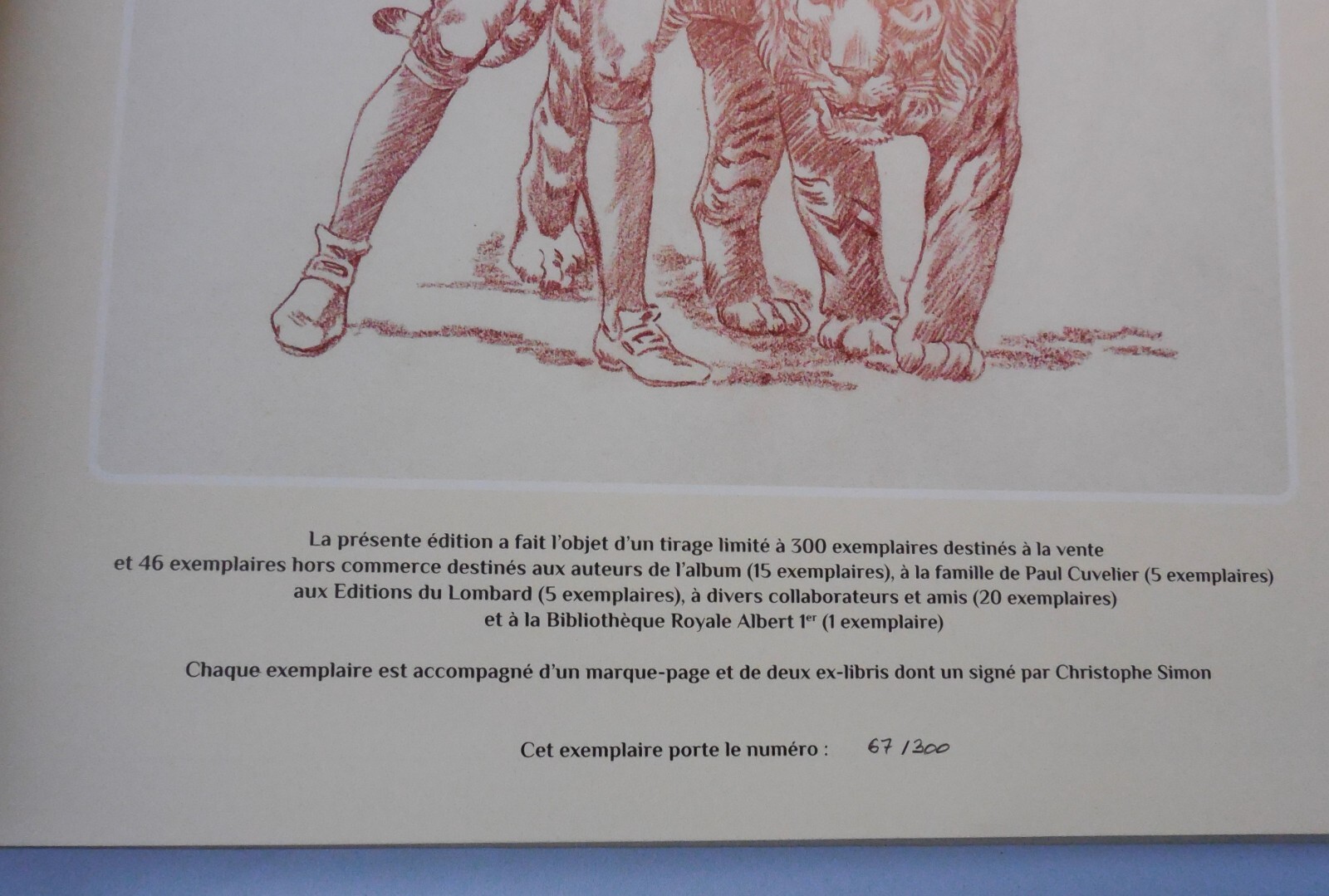 Image 12