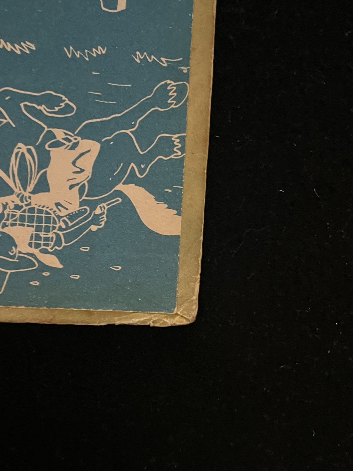Image 5