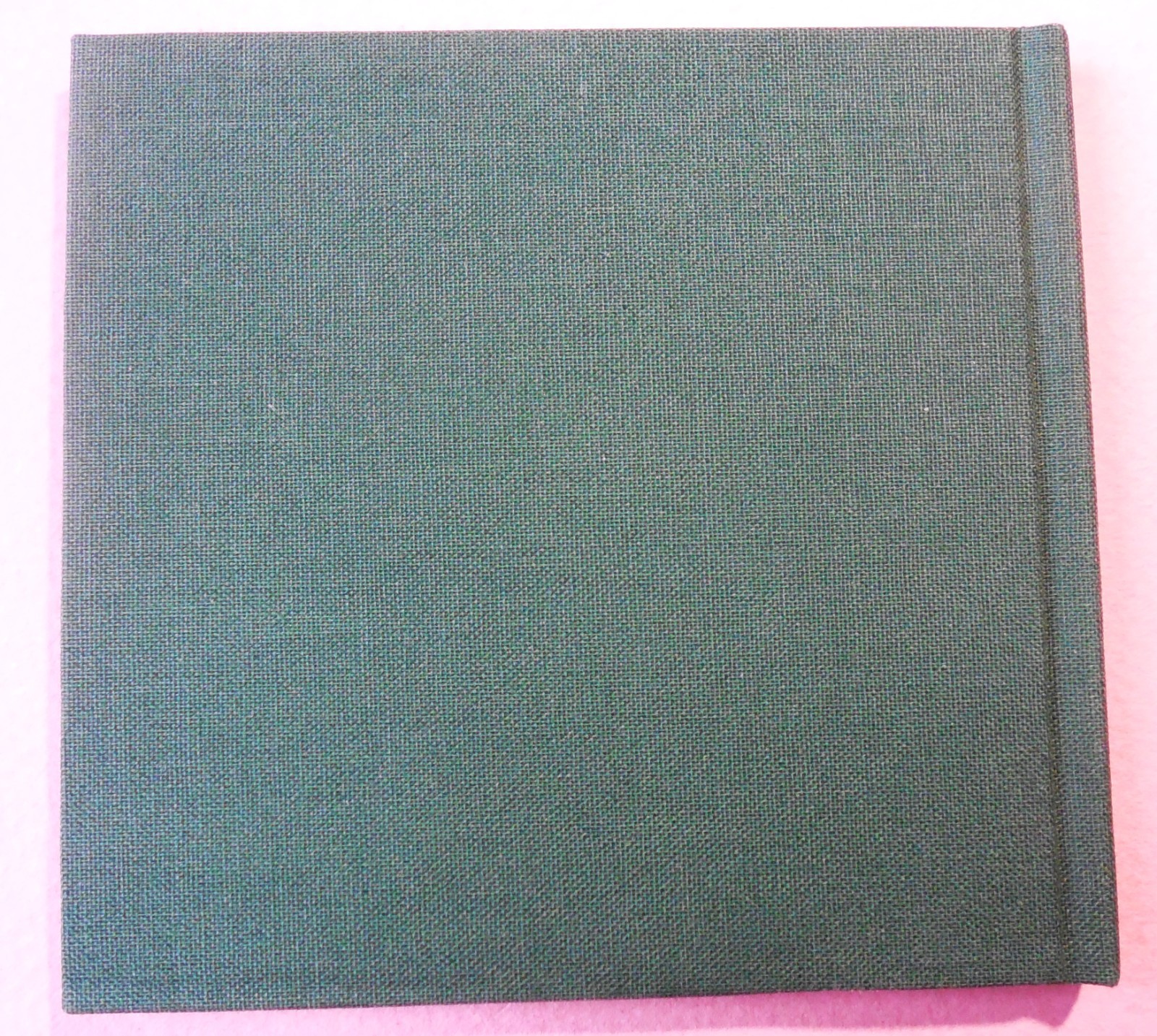 Image 19