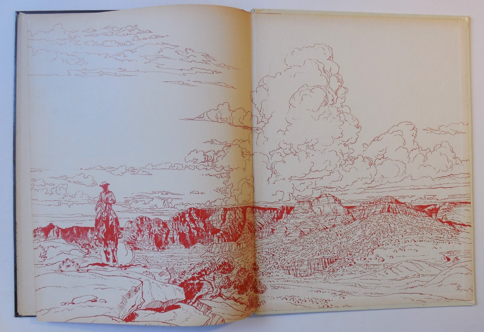 Image 19