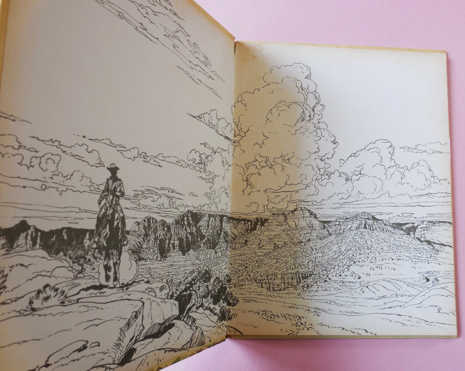 Image 8