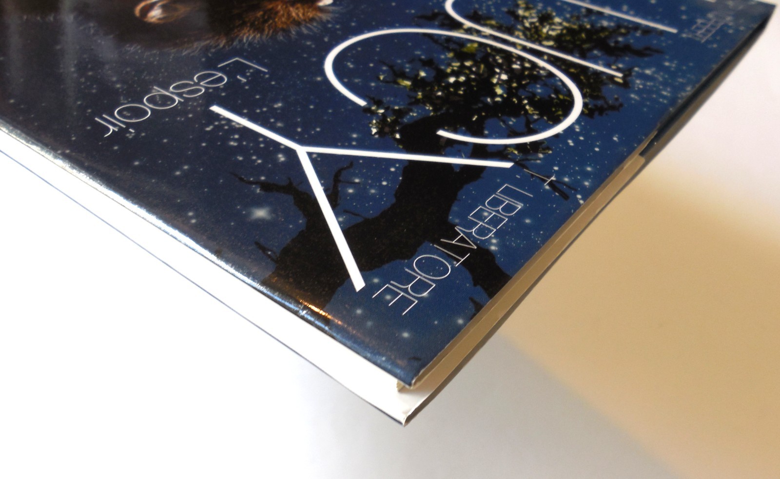 Image 11