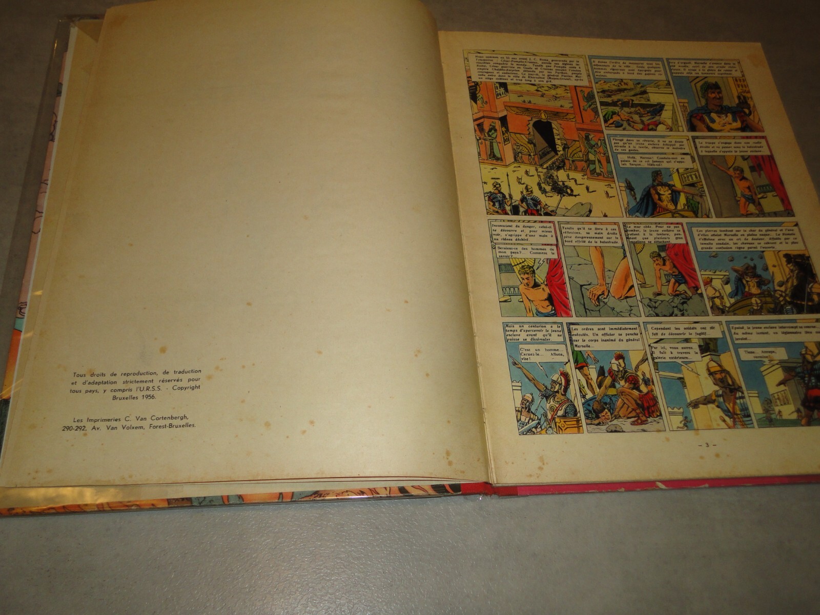 Image 7