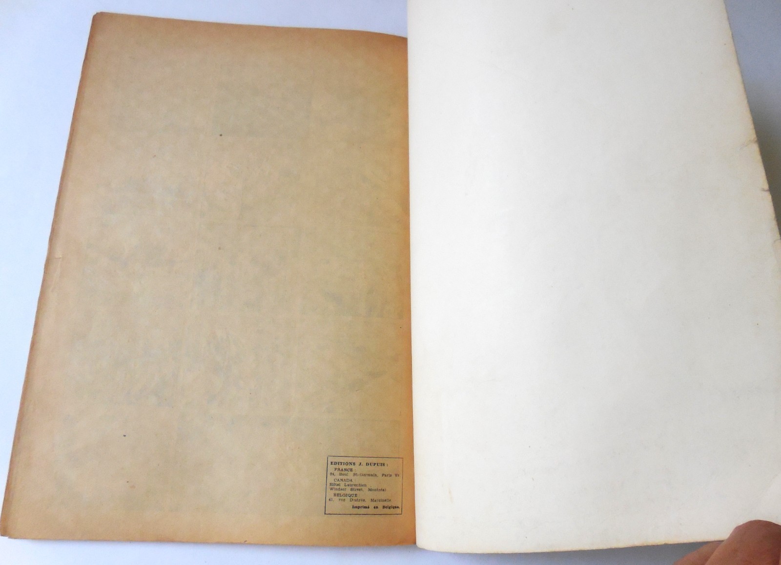 Image 21