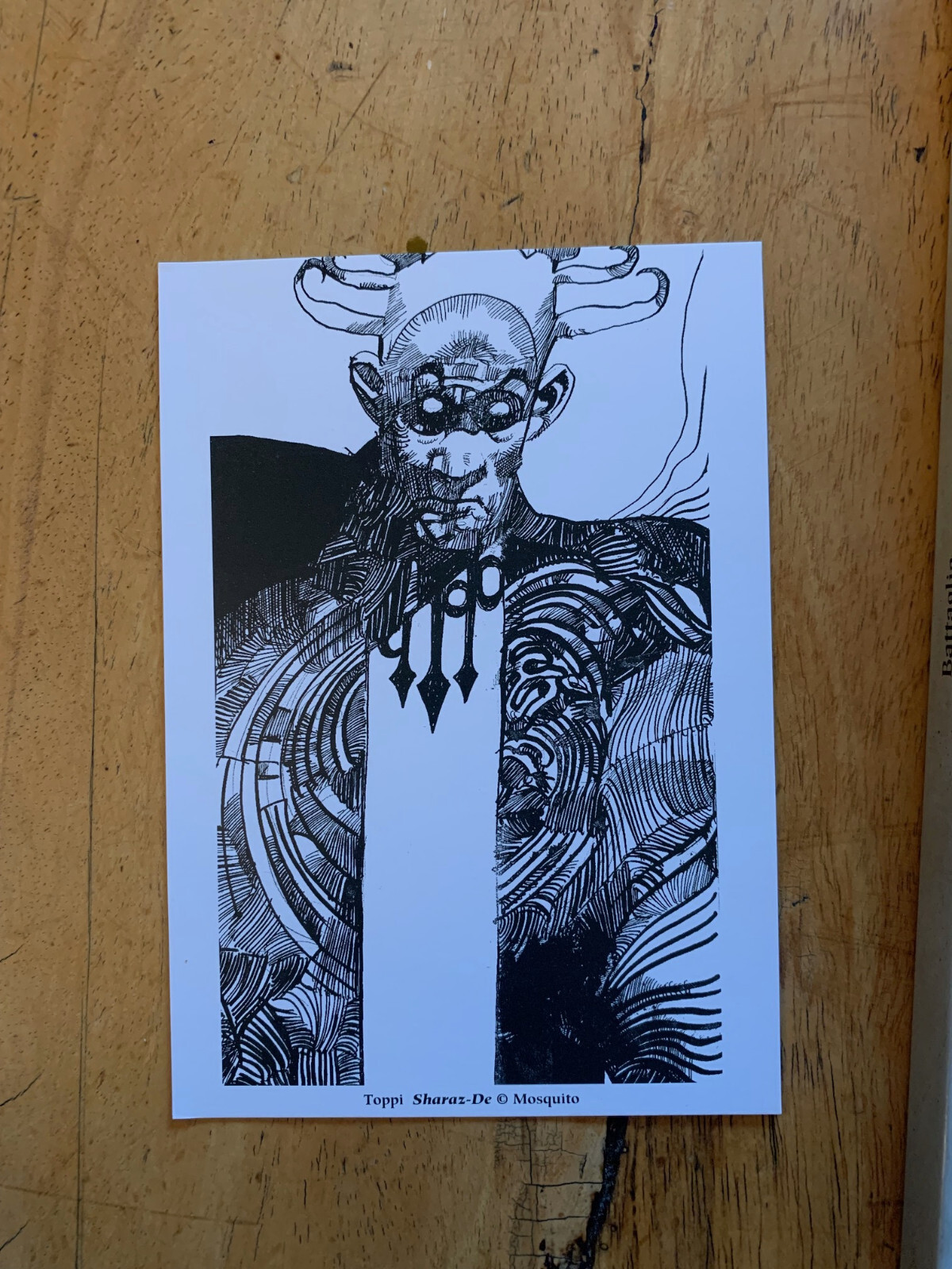 Image 4