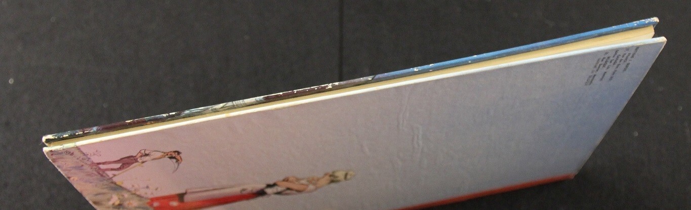 Image 4