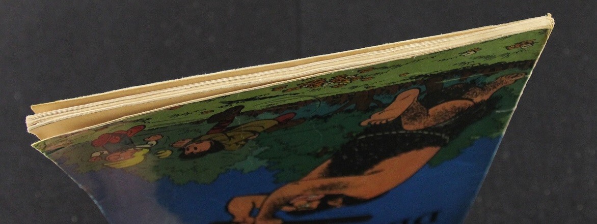 Image 5