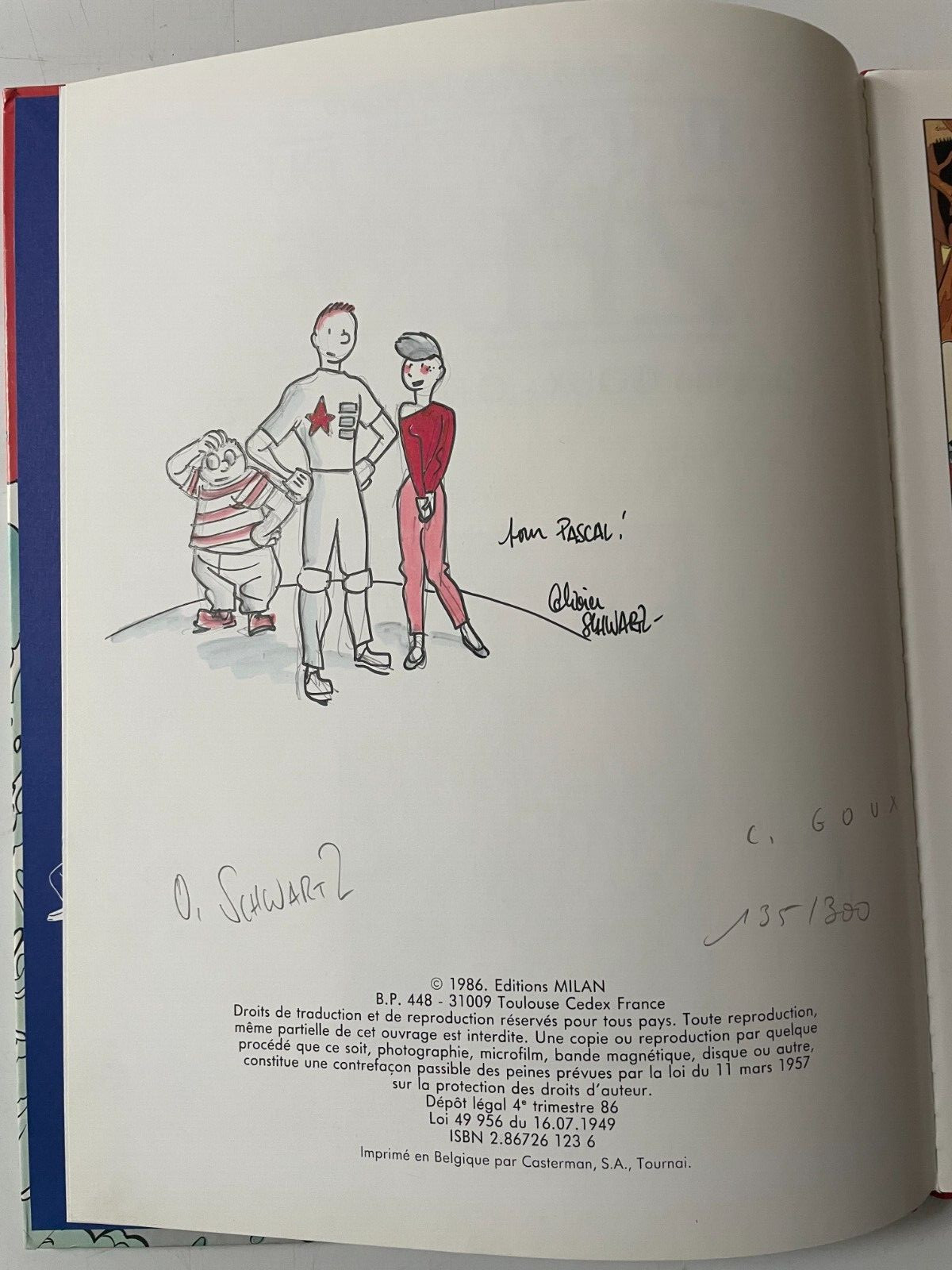 Image 4