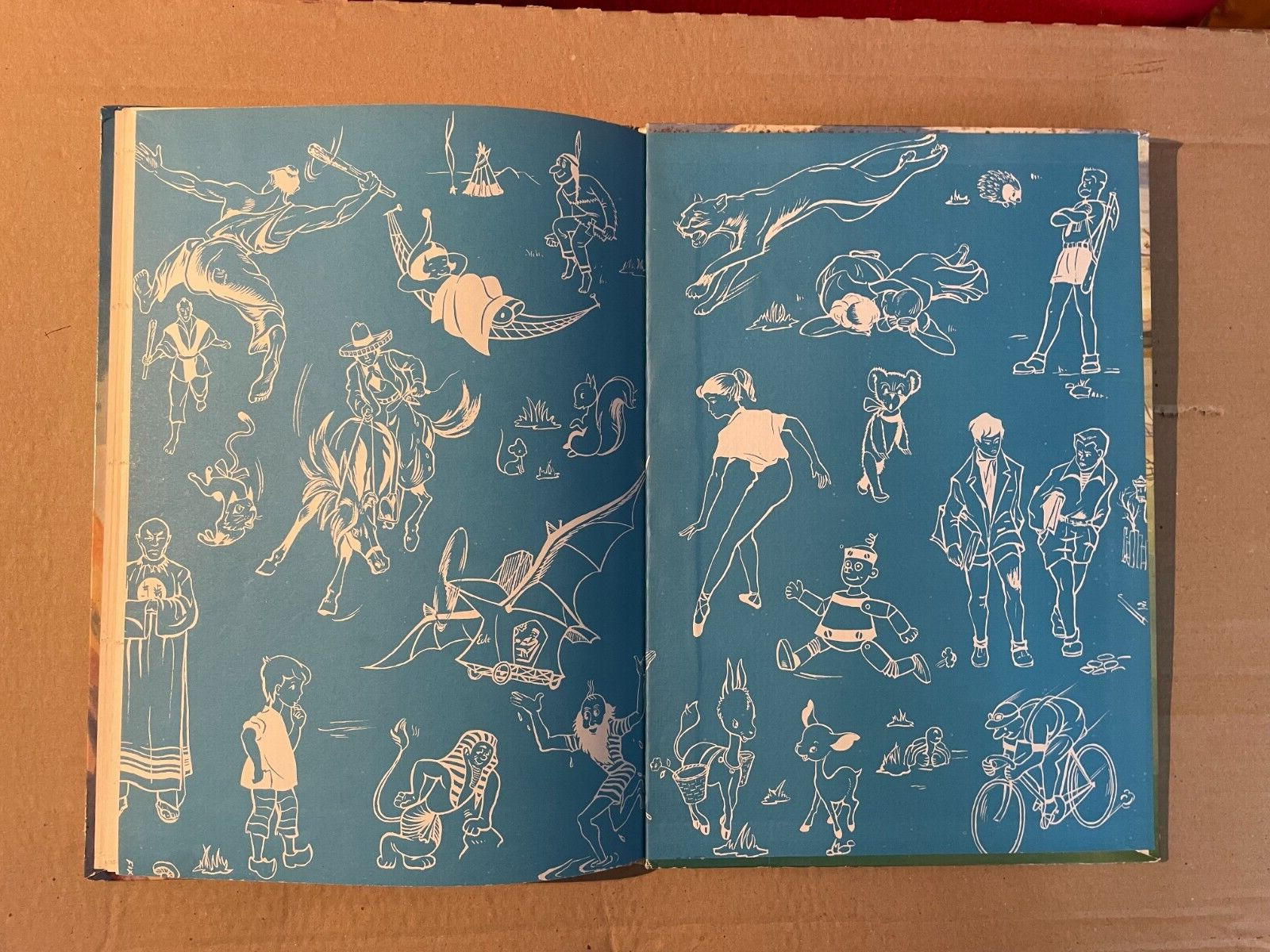 Image 6