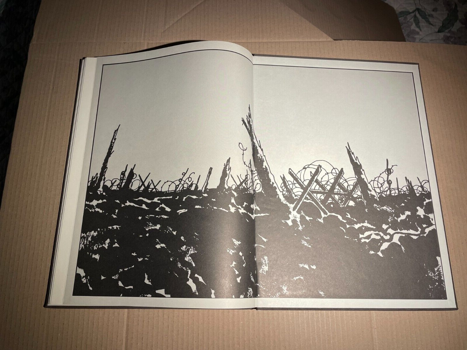 Image 5