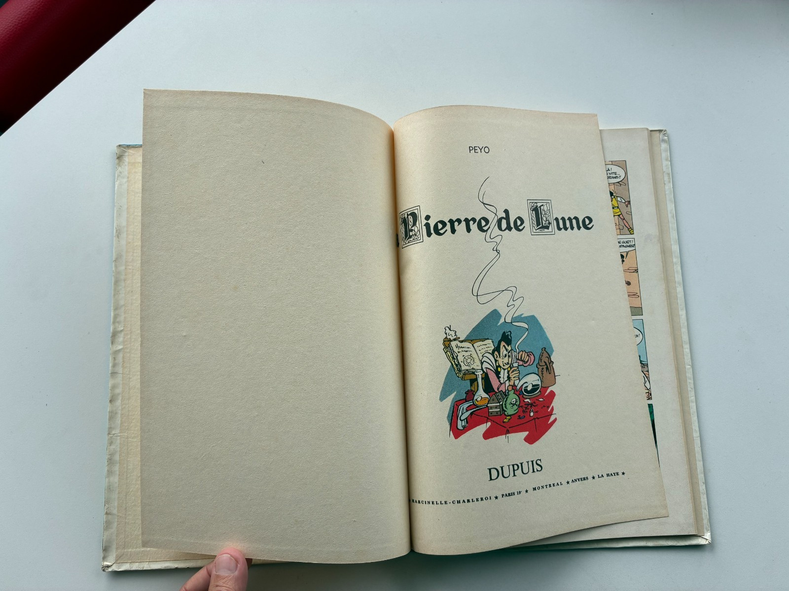 Image 8