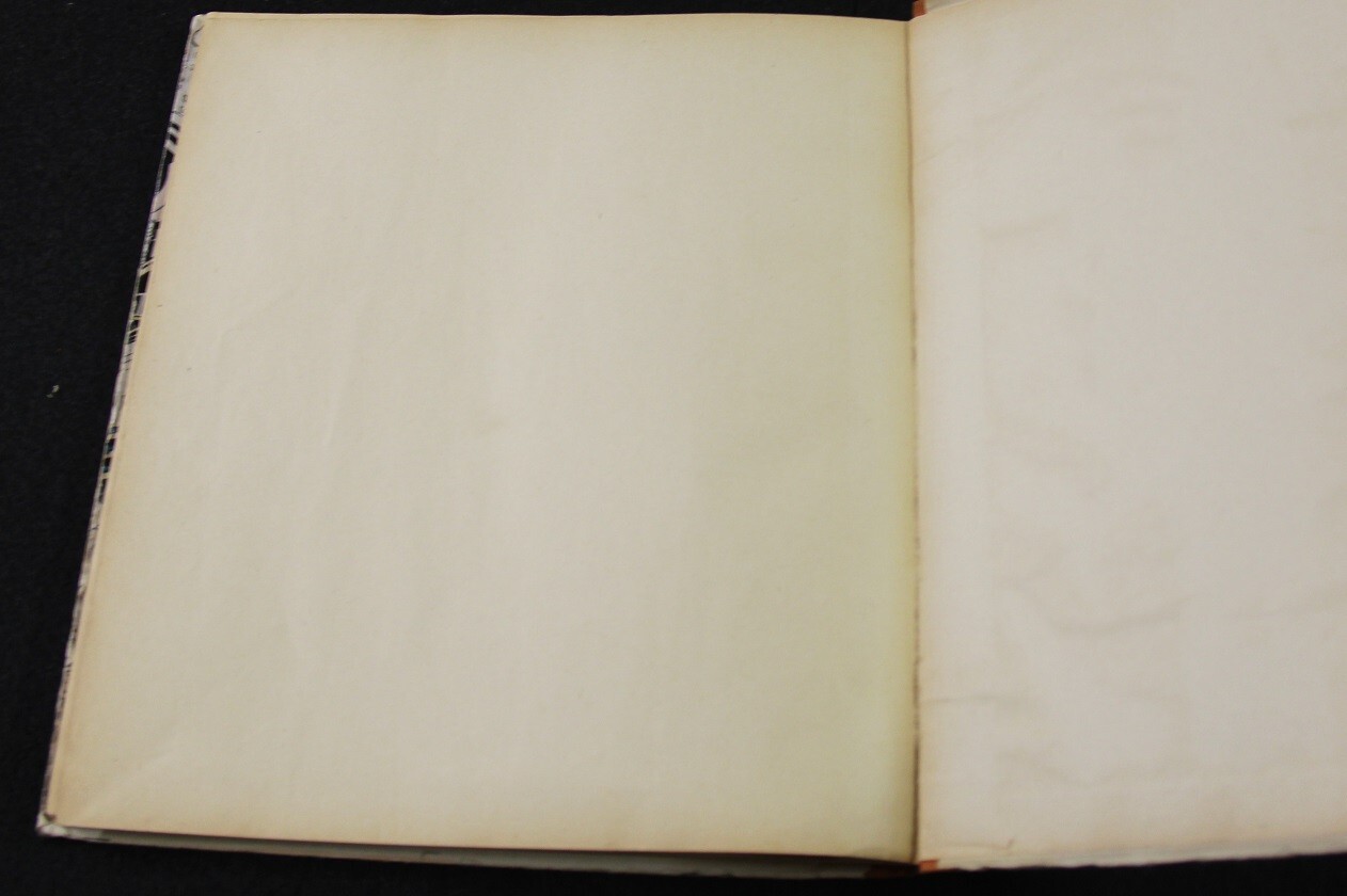 Image 23
