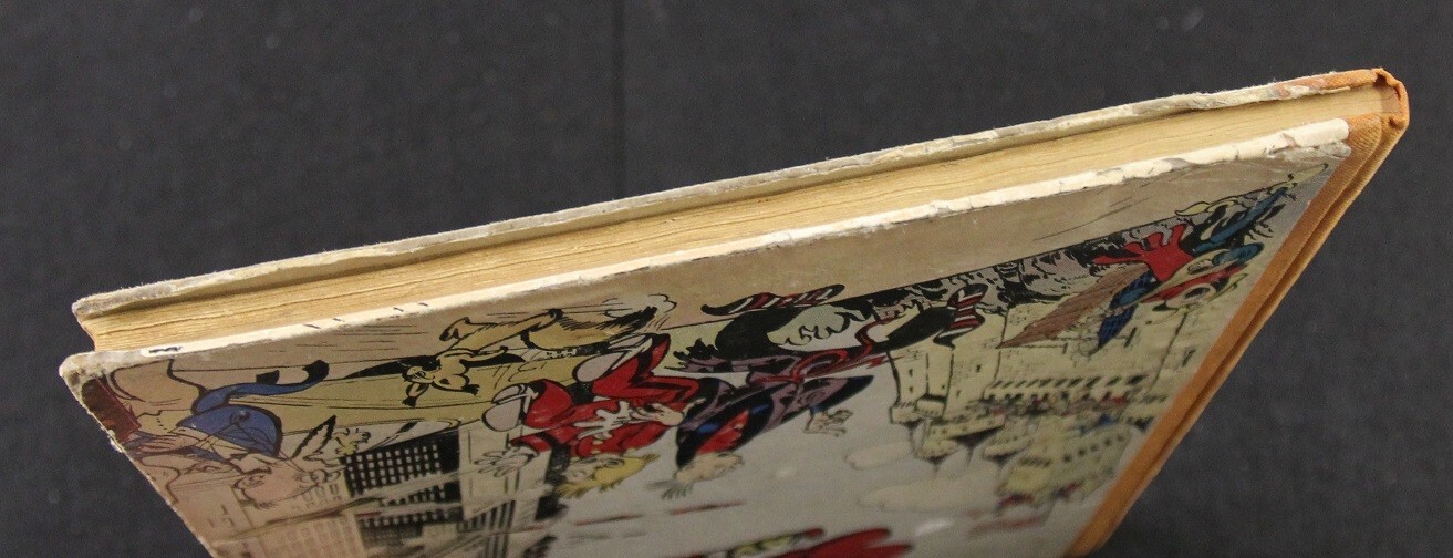 Image 5