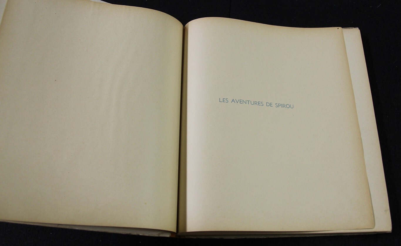 Image 7
