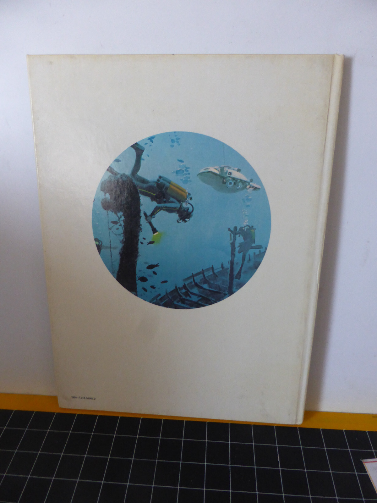 Image 4