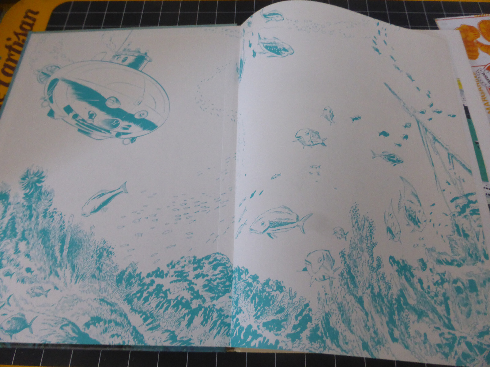 Image 7