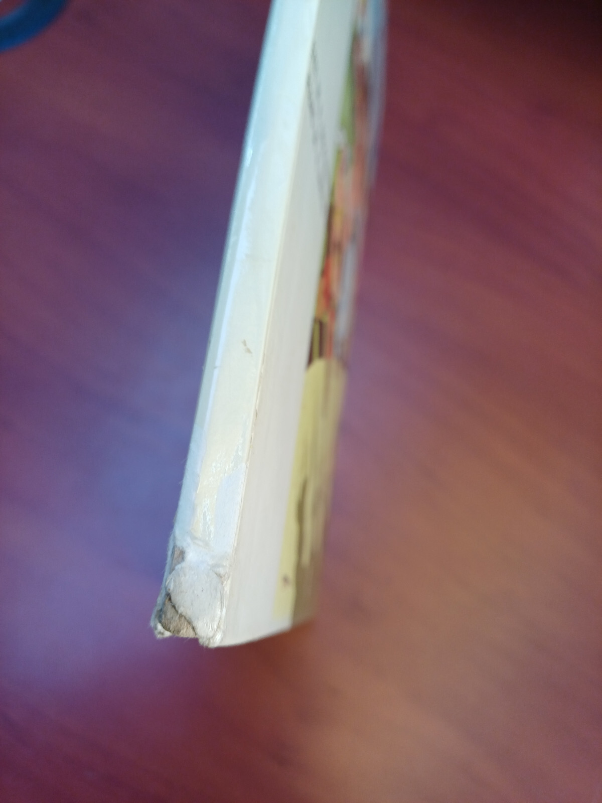 Image 6