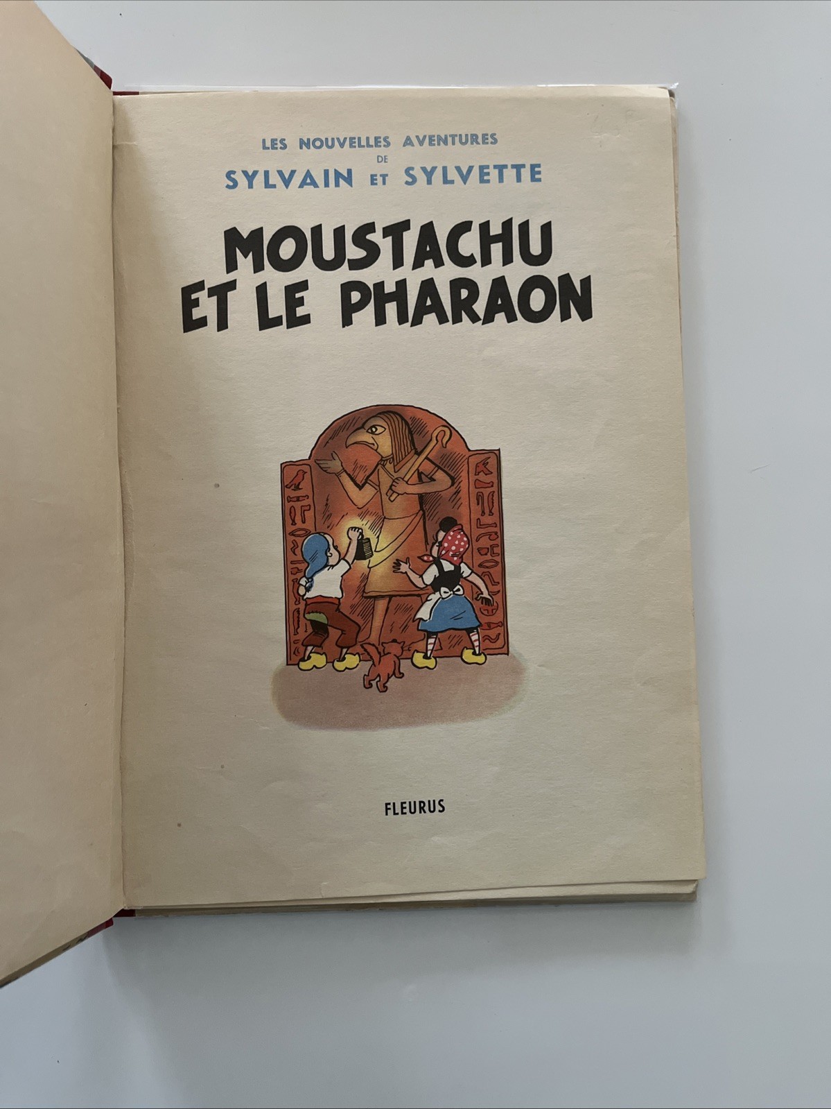 Image 8