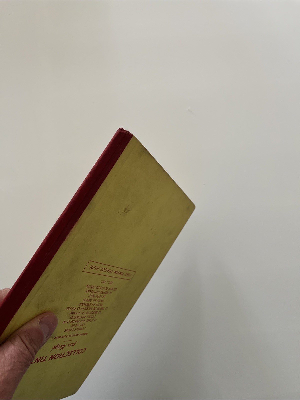 Image 6