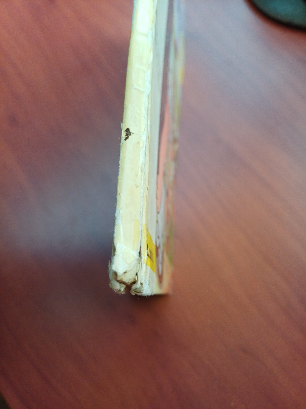 Image 8