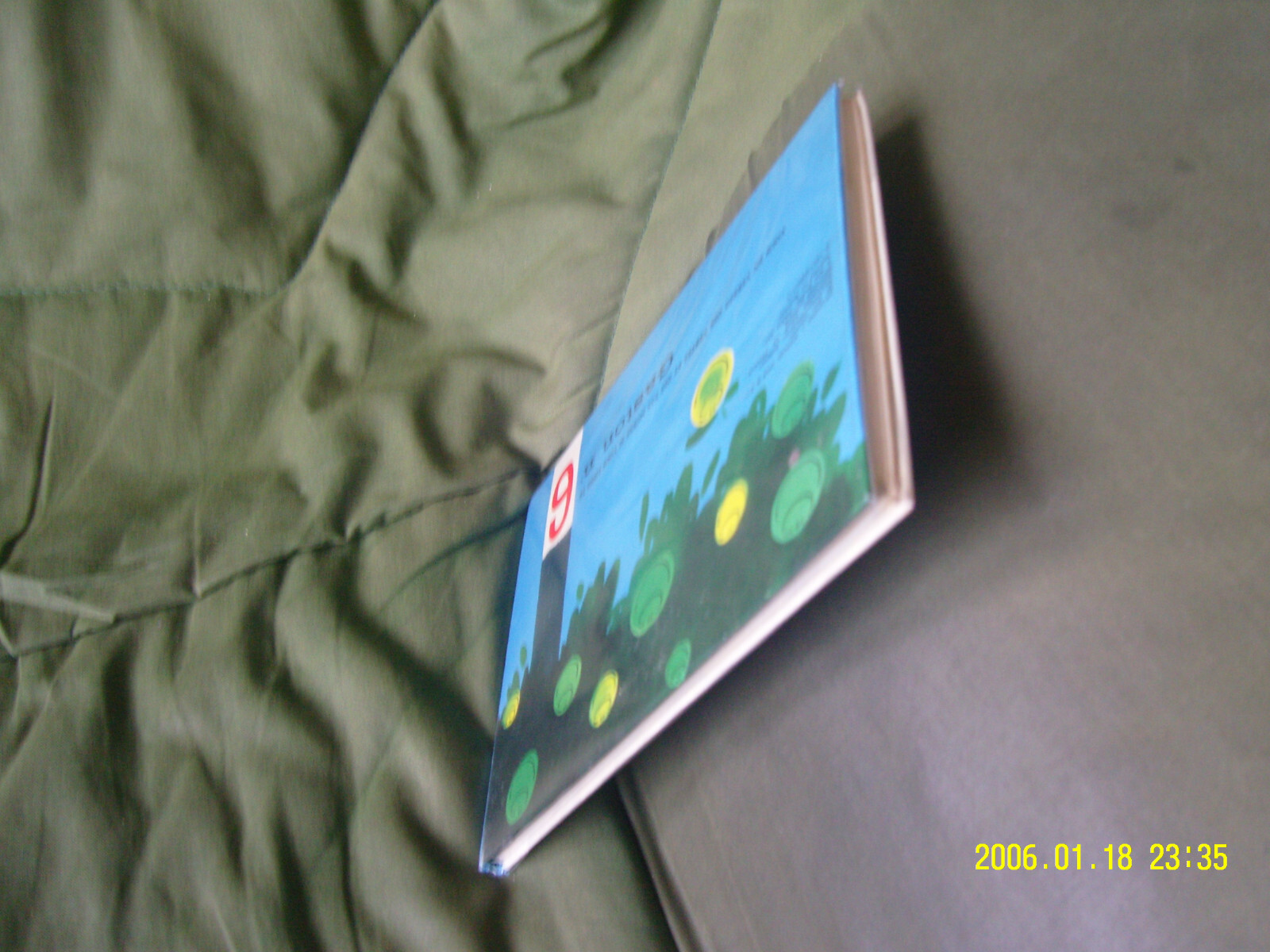 Image 7