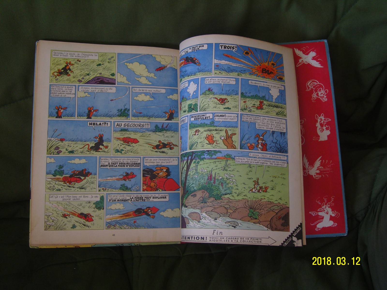 Image 4