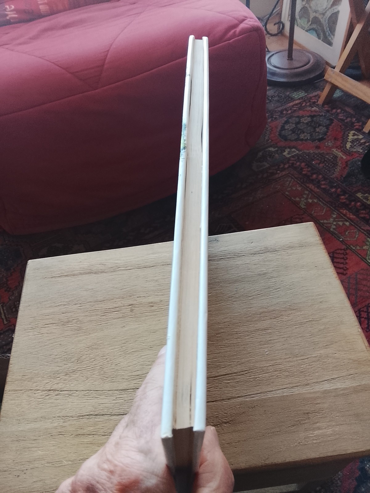 Image 4
