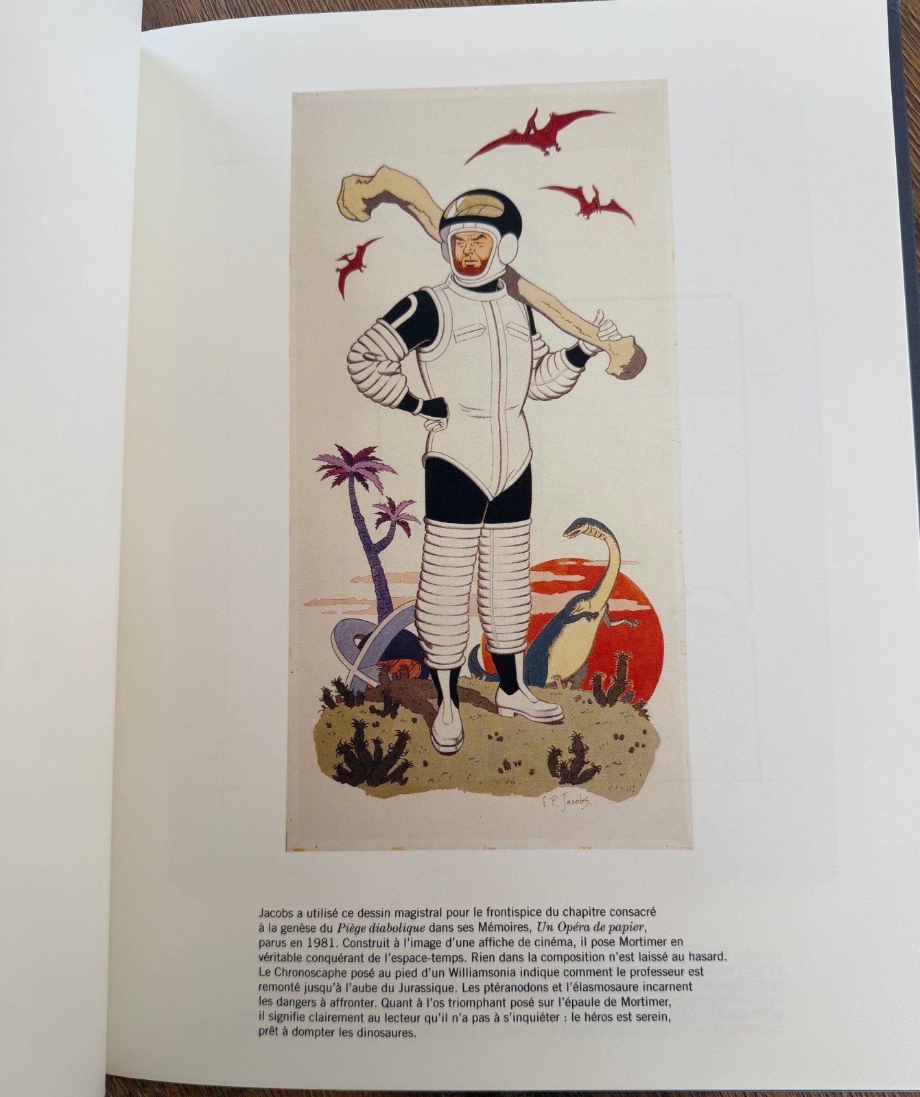 Image 5