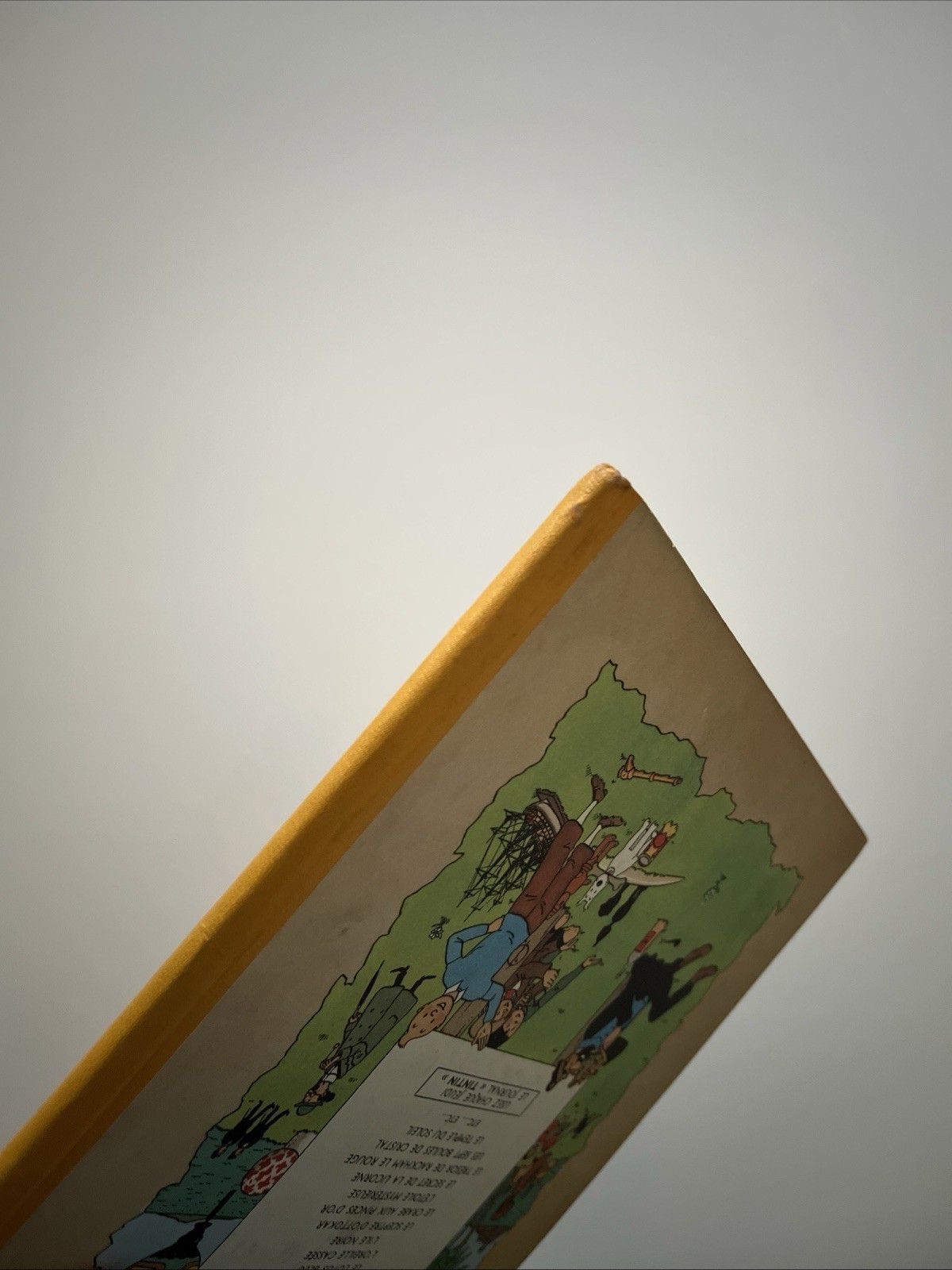 Image 6