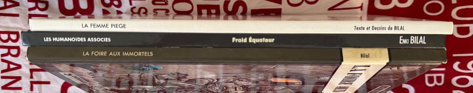 Image 8