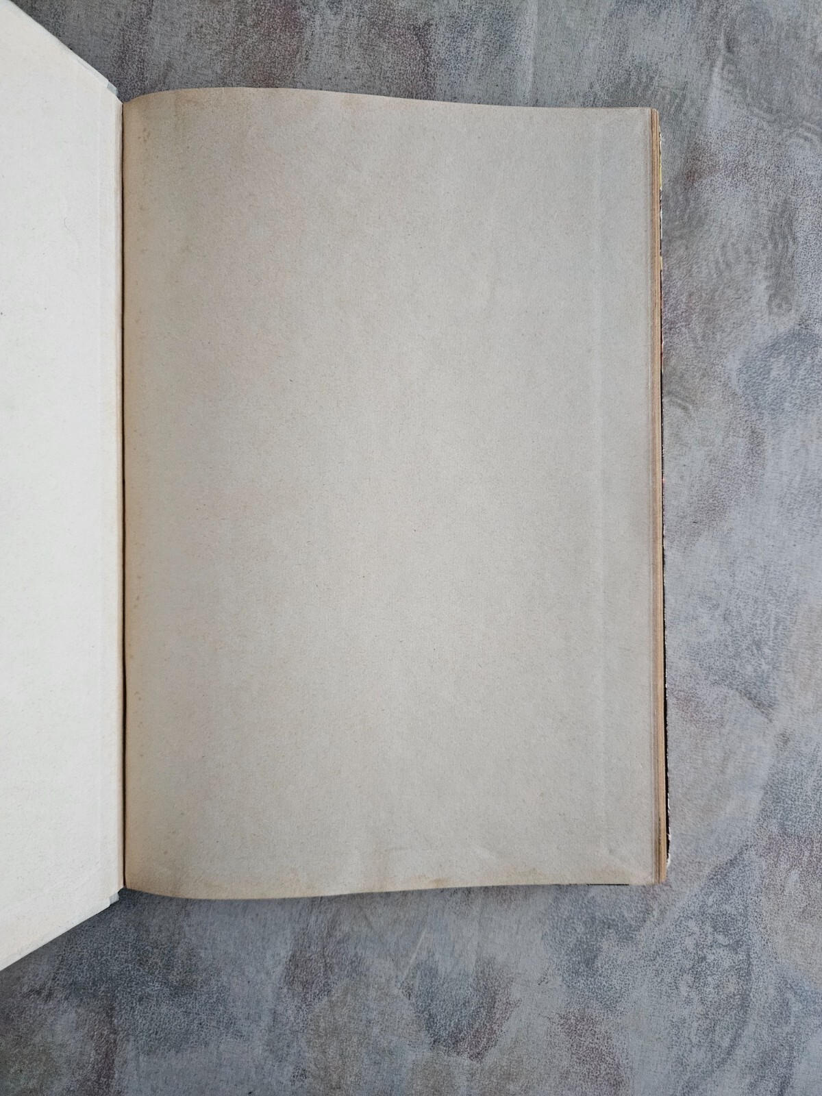 Image 22