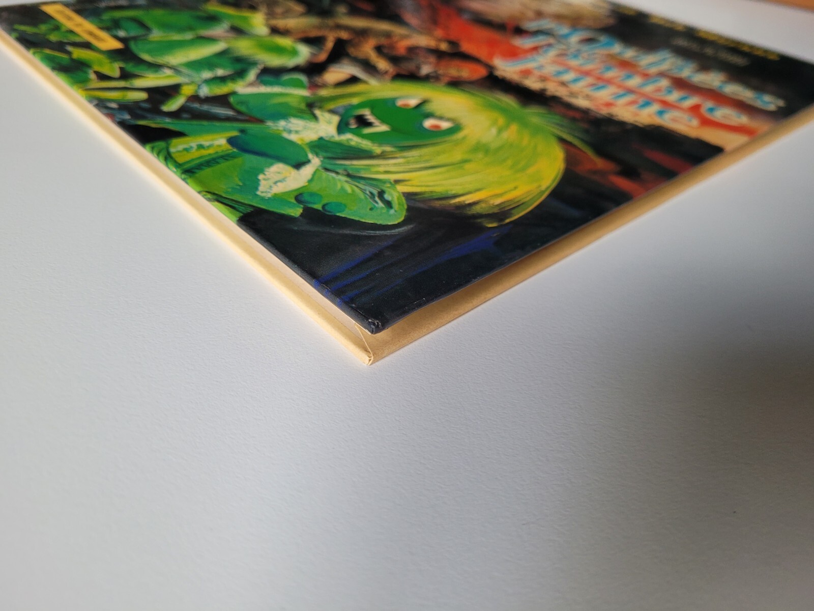 Image 4