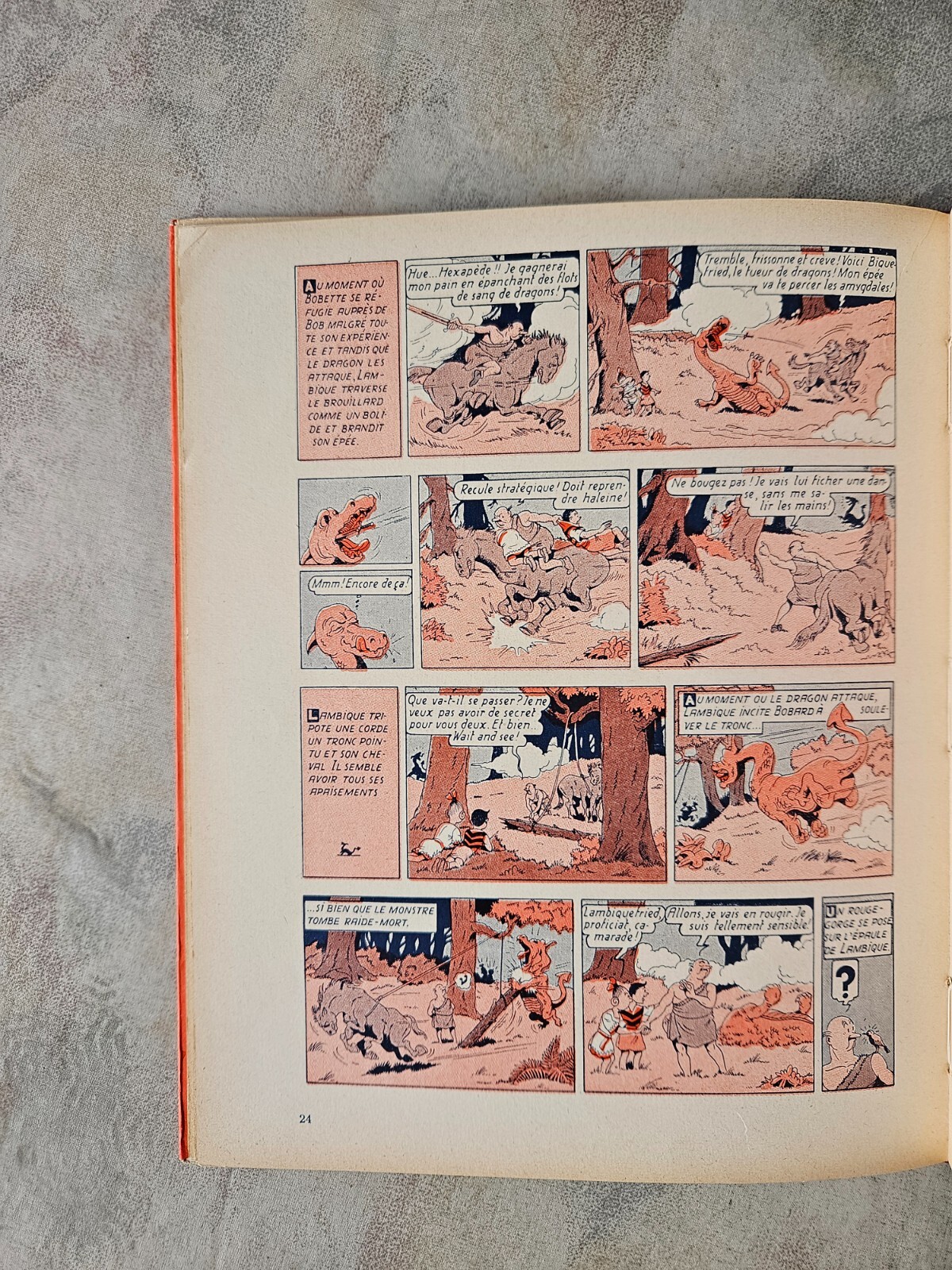 Image 5