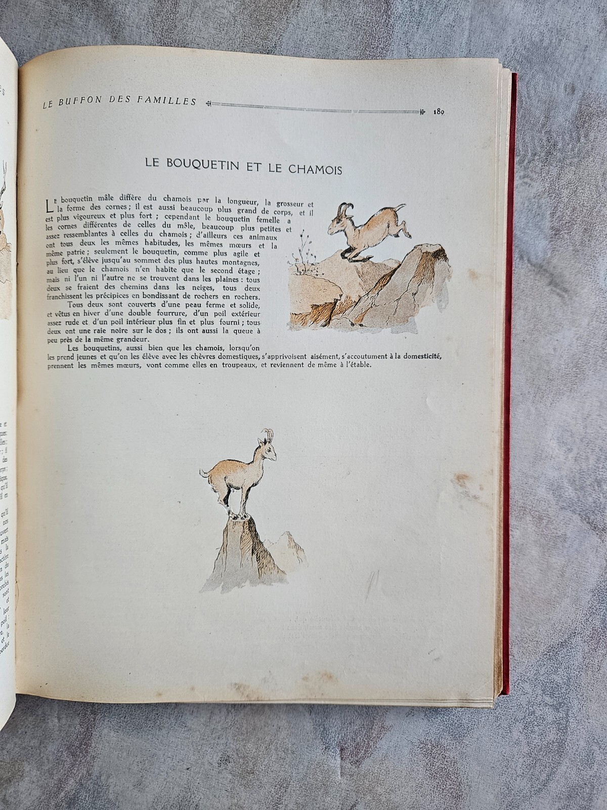Image 14