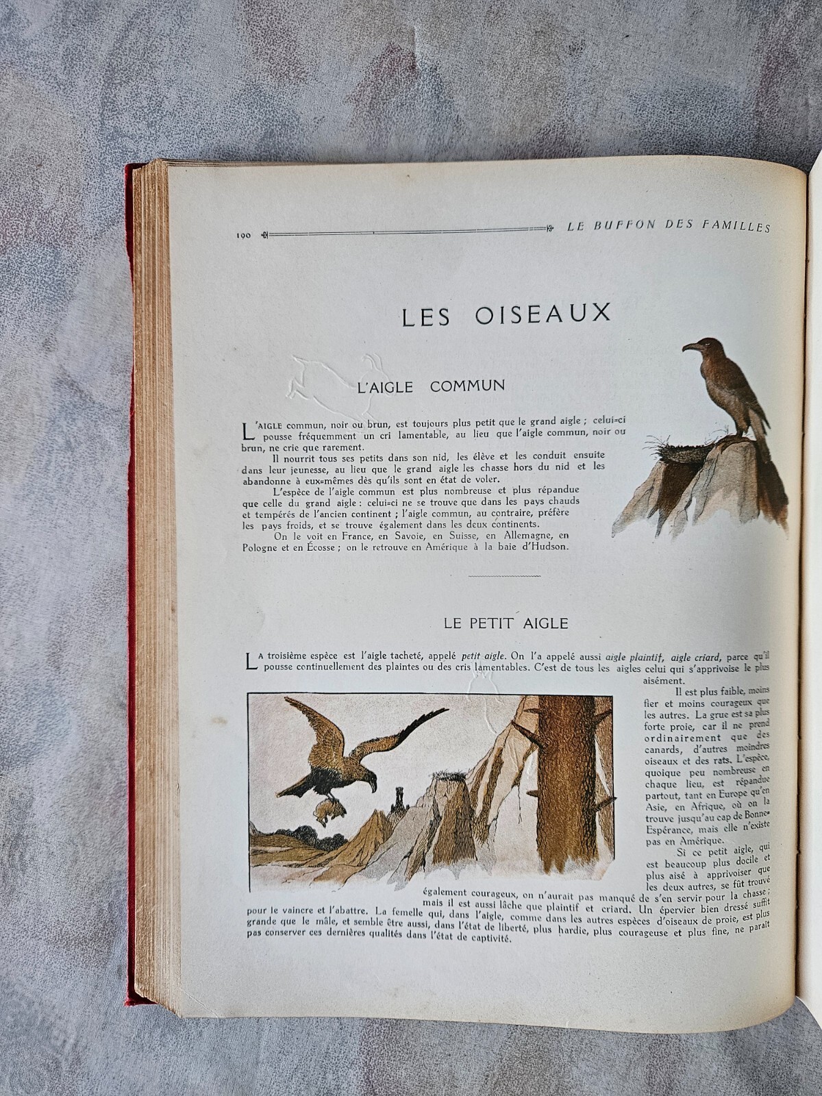 Image 15