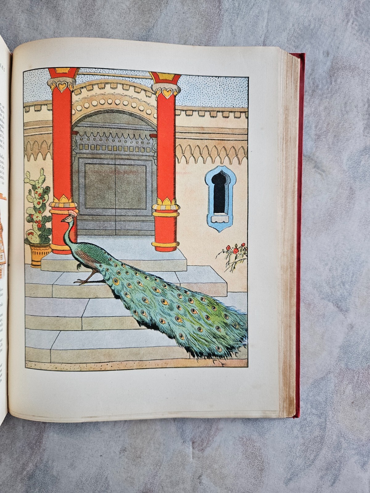Image 18