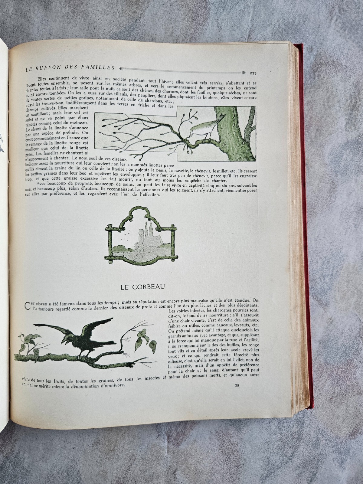 Image 19